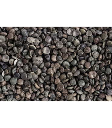 Granule PP/PE for rigid package